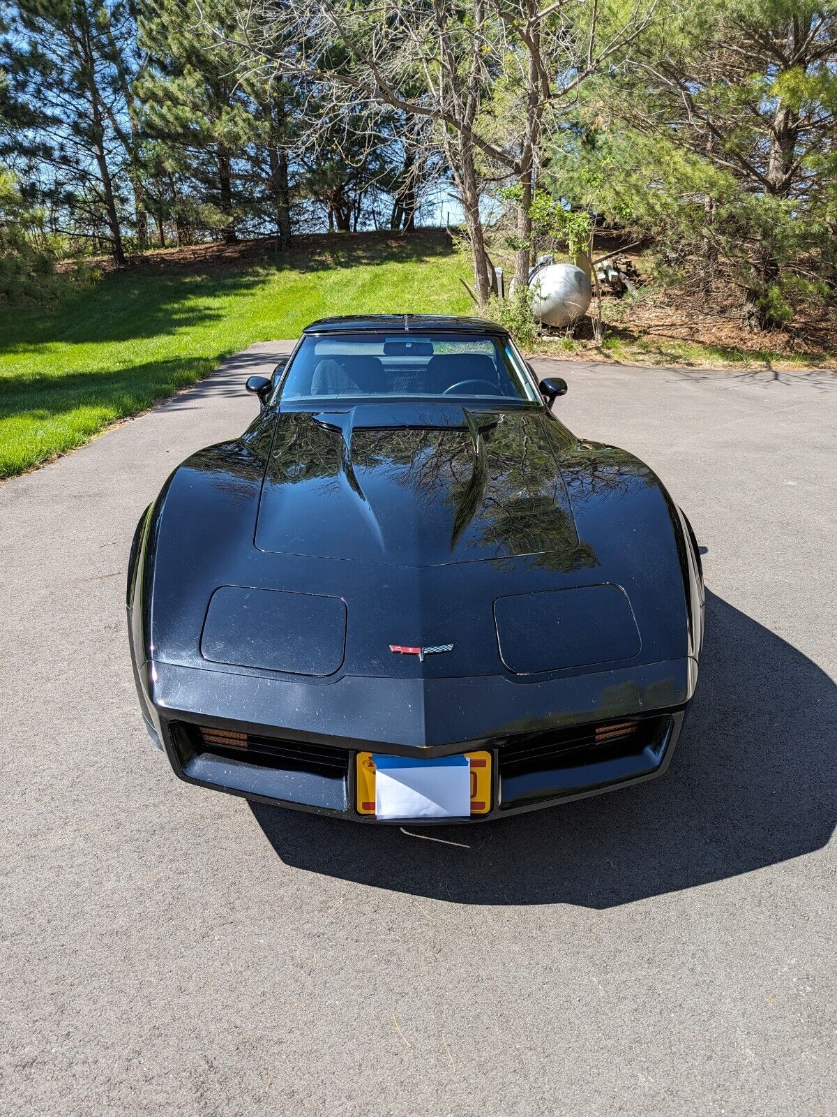 Chevrolet-Corvette-Coupe-1981-4