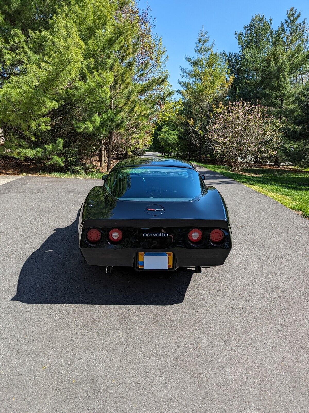 Chevrolet-Corvette-Coupe-1981-5