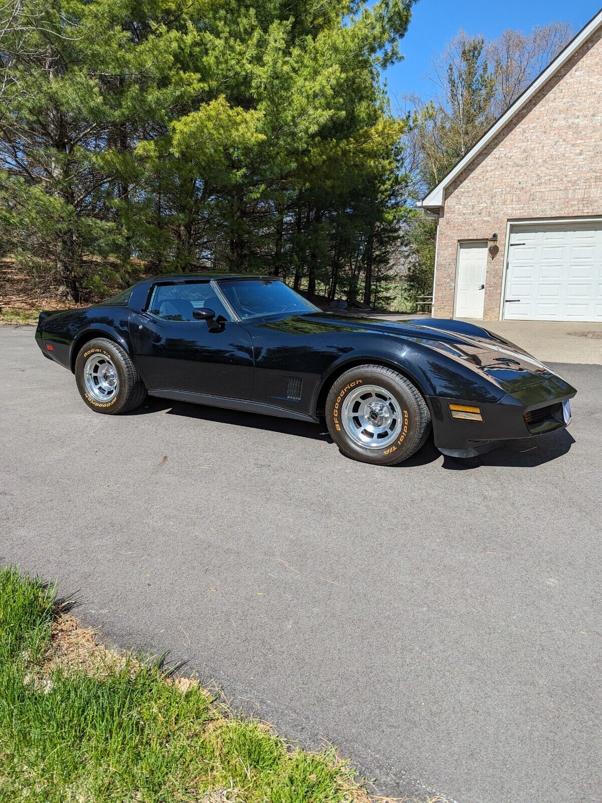 Chevrolet-Corvette-Coupe-1981-6