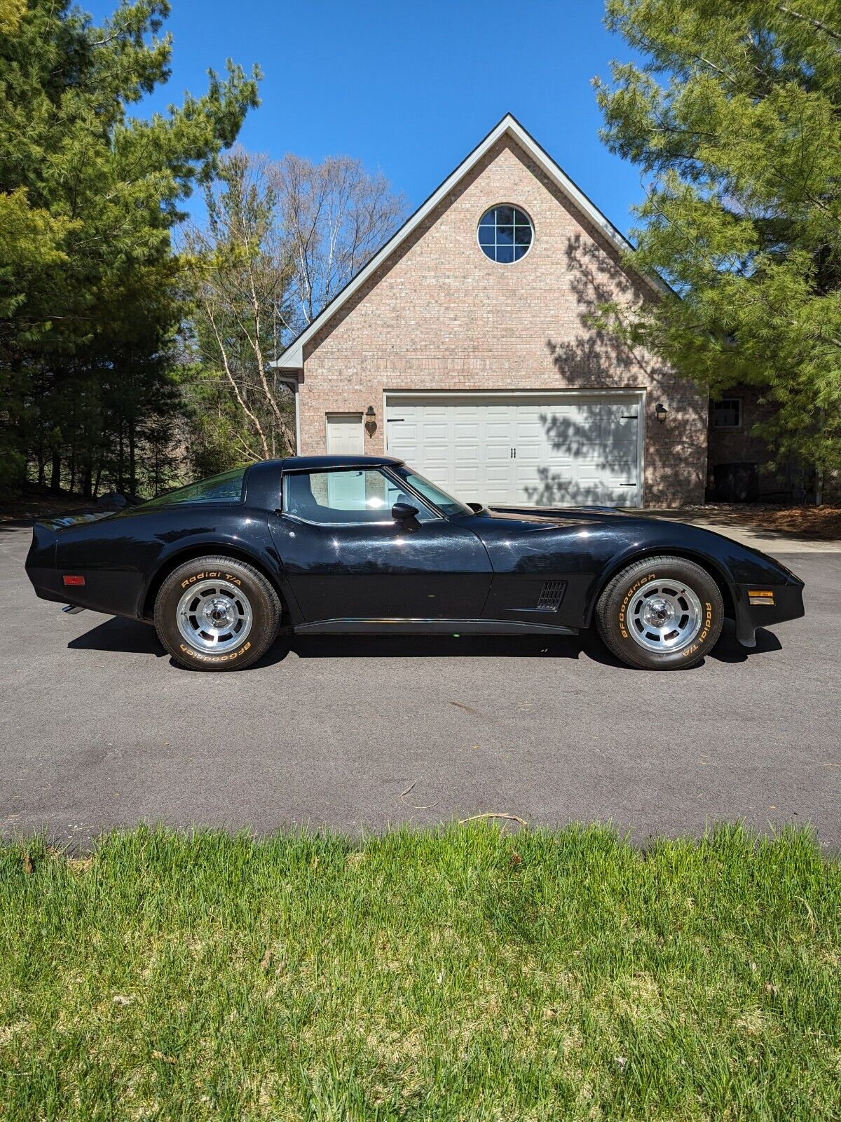 Chevrolet-Corvette-Coupe-1981-7