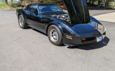 Chevrolet-Corvette-Coupe-1981-8