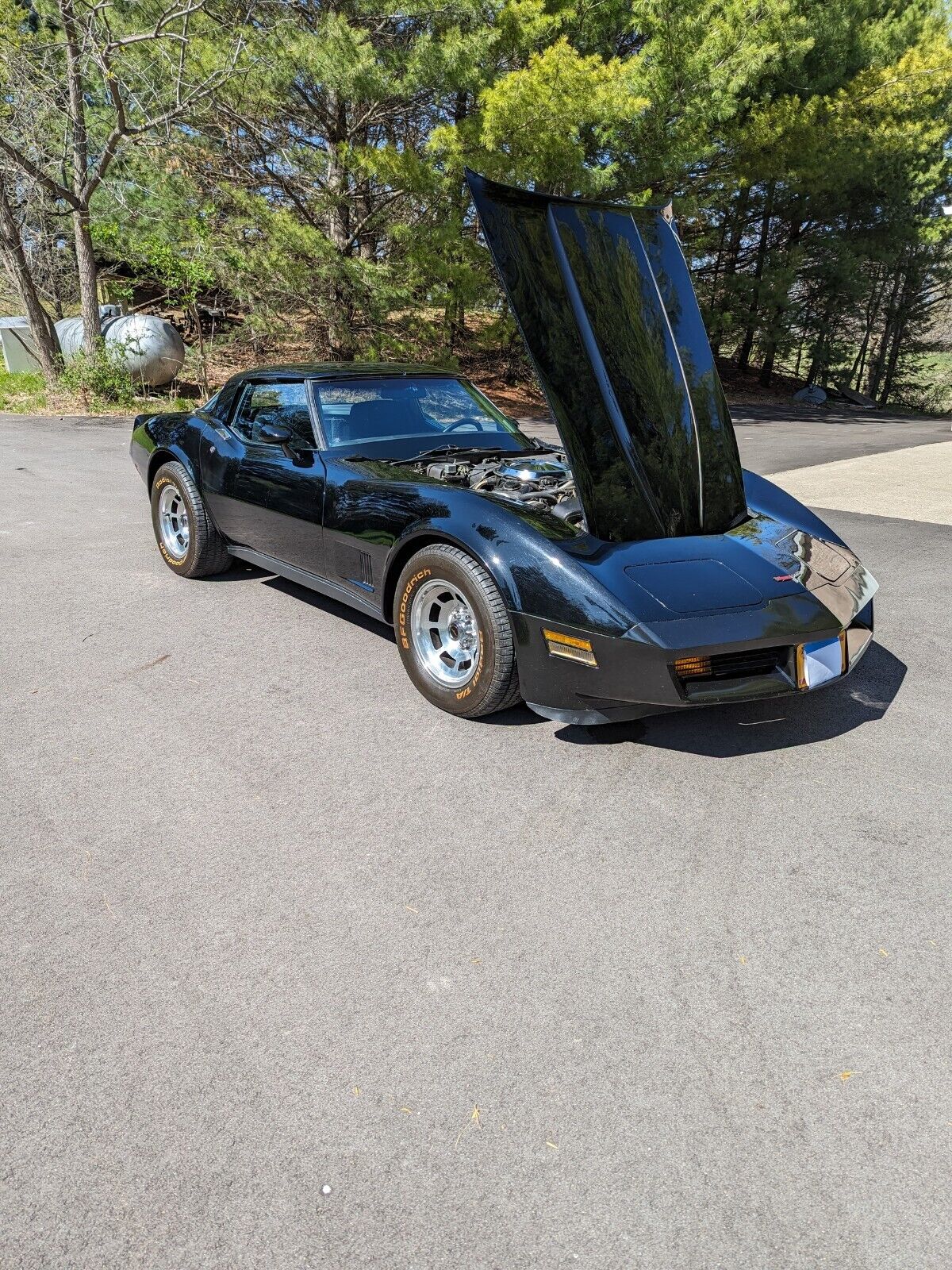 Chevrolet-Corvette-Coupe-1981-8