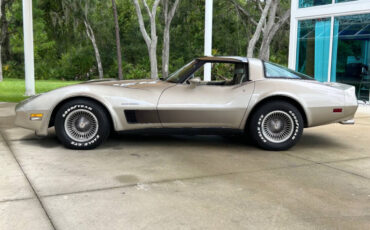 Chevrolet-Corvette-Coupe-1982-7