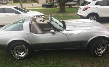 Chevrolet-Corvette-coupe-1978-13