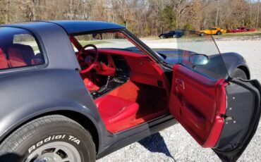 Chevrolet-Corvette-coupe-1979-6