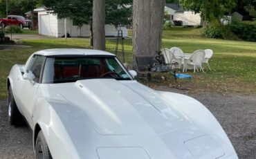 Chevrolet-Corvette-coupe-1979-8