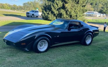 Chevrolet-Corvette-stingray-1977-1