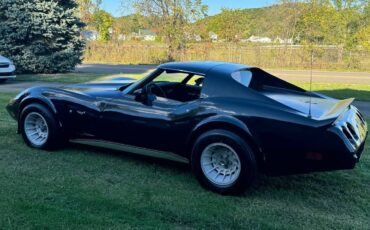 Chevrolet-Corvette-stingray-1977-2