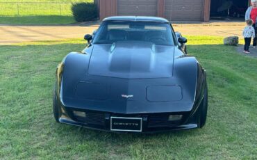 Chevrolet-Corvette-stingray-1977-4