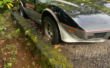 Chevrolet-Corvette-stingray-1978-13