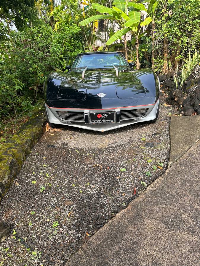 Chevrolet-Corvette-stingray-1978-2