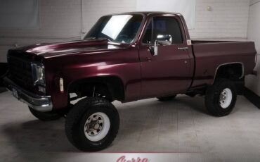 Chevrolet-K10-1977-6