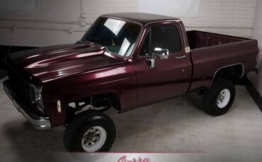 Chevrolet-K10-1977-7