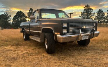 Chevrolet-K10-diesel-1984-1