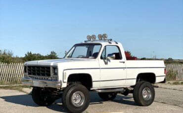 Chevrolet-K5-blazer-1979-1