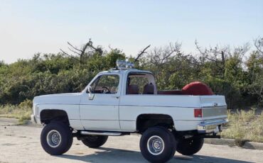 Chevrolet-K5-blazer-1979-2