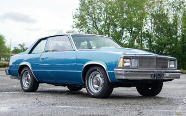 Chevrolet-Malibu-Coupe-1980-11