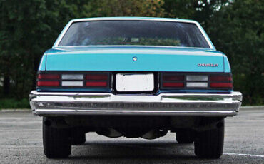 Chevrolet-Malibu-Coupe-1980-6