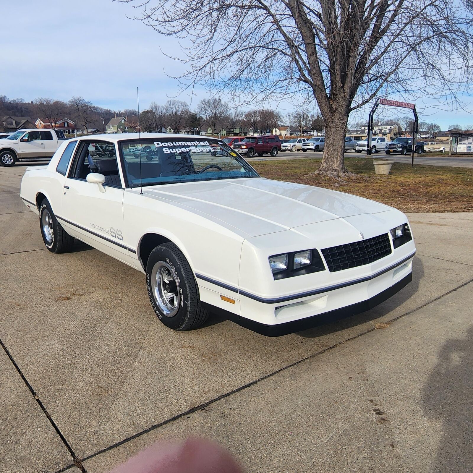 Chevrolet-Monte-Carlo-1984-2