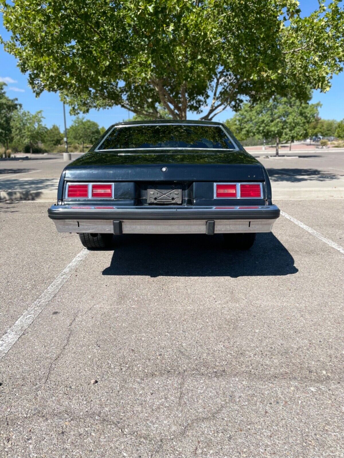 Chevrolet-Nova-1975-3