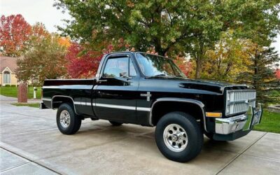 Chevrolet  Pickup 1981