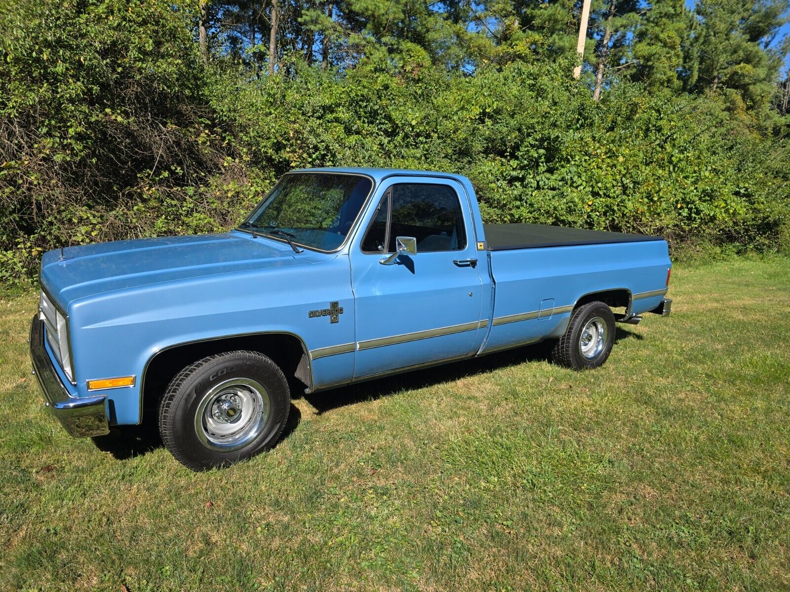 Chevrolet Other Pickups  1986 à vendre