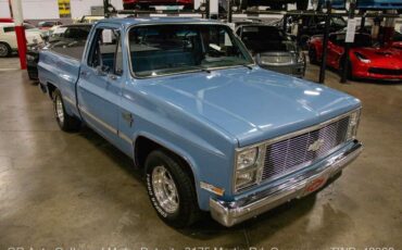 Chevrolet-Other-Pickups-1987-8