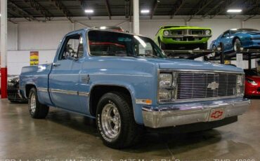 Chevrolet-Other-Pickups-1987-9