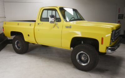 Chevrolet  Pickup 1978