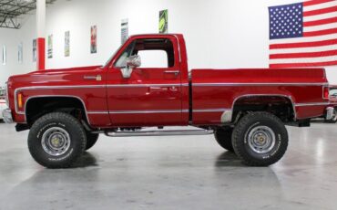 Chevrolet-Other-Pickups-Pickup-1980-1