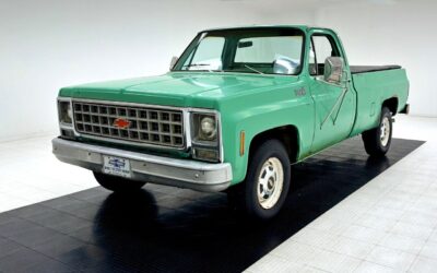 Chevrolet  Pickup 1980