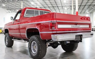 Chevrolet-Other-Pickups-Pickup-1980-2