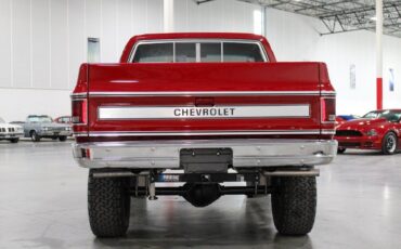 Chevrolet-Other-Pickups-Pickup-1980-3