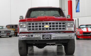 Chevrolet-Other-Pickups-Pickup-1980-7