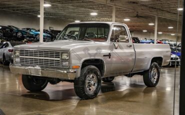 Chevrolet-Other-Pickups-Pickup-1983-7