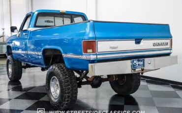 Chevrolet-Other-Pickups-Pickup-1986-9