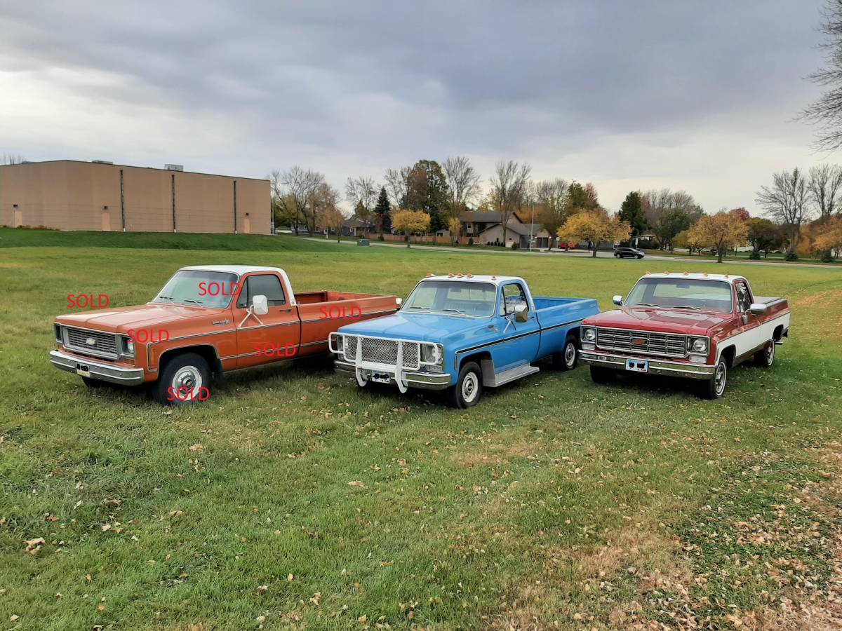 Chevrolet-Scottsdale-10-1979-23