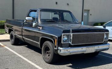 Chevrolet-Silverado-1500-1978-2