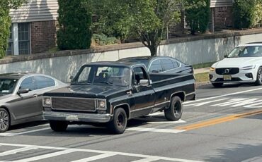 Chevrolet-Silverado-1500-1978-5