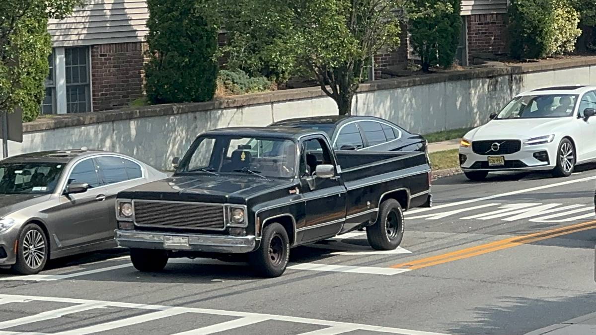 Chevrolet-Silverado-1500-1978-5