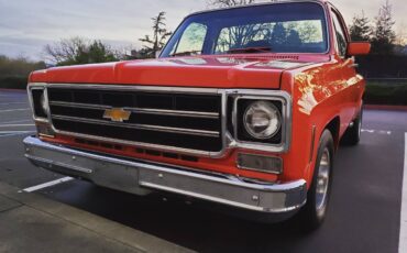 Chevrolet-Silverado-1977-7