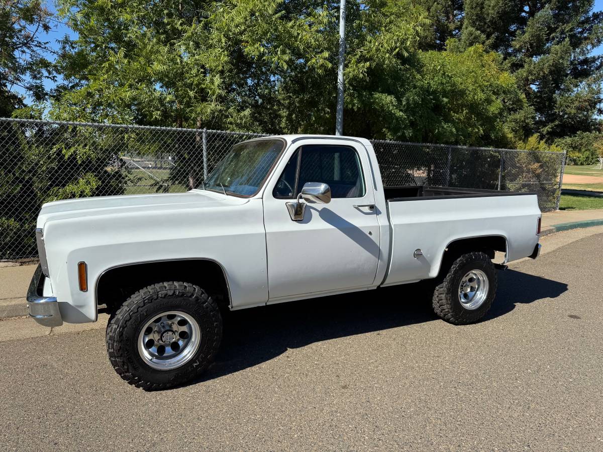 Chevrolet-Silverado-1978-13