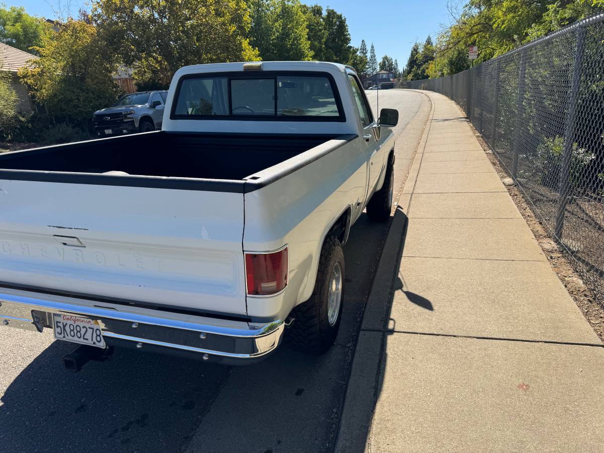 Chevrolet-Silverado-1978-3