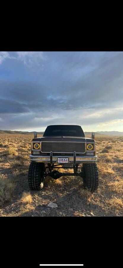 Chevrolet-Silverado-1978-5