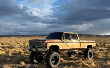 Chevrolet-Silverado-1978-6