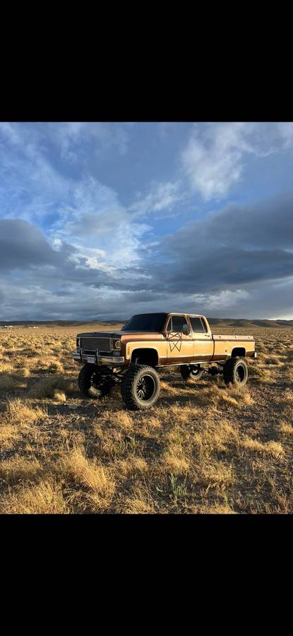 Chevrolet-Silverado-1978-6