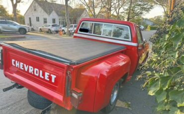 Chevrolet-Silverado-1981-1