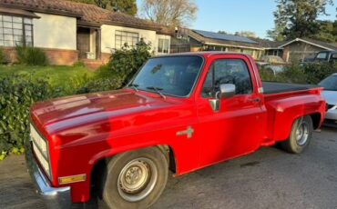 Chevrolet-Silverado-1981-3