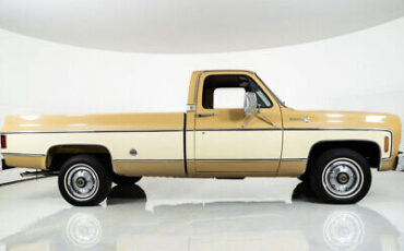 Chevrolet-Silverado-Cabriolet-1976-11