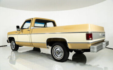 Chevrolet-Silverado-Cabriolet-1976-7